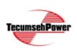 Picture for category Tecumseh OEM NOS   Engine Parts