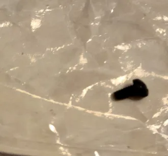 homelite  screw  95922