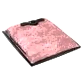 homelite  replacement 63589  filter